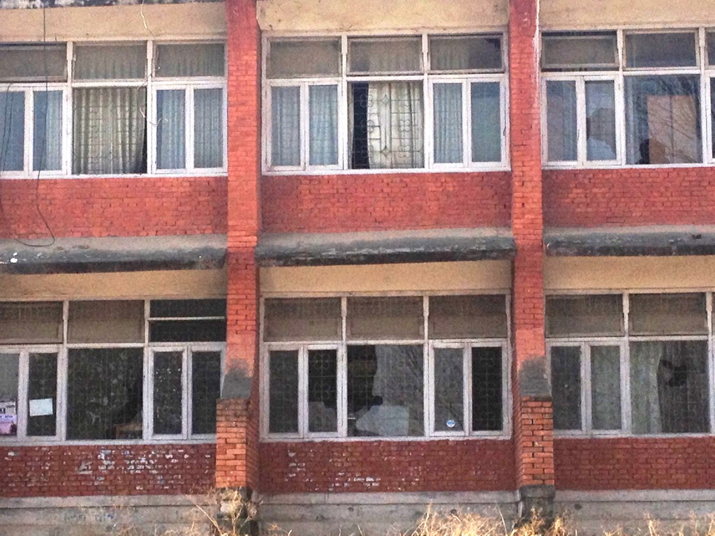 IMG_0231_1024 2 copy 2